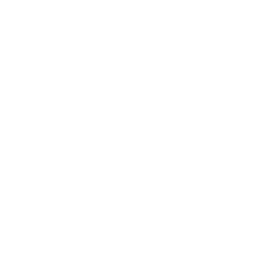 pin (1)